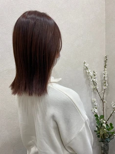 2023年夏★美髪×フランシールカラー