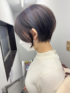 藤田竜也　丸みshorthair