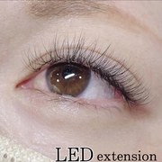 ナチュラルアイ
【LED★ボリューム300本】シングル100本程度¥7,700→¥5,980

