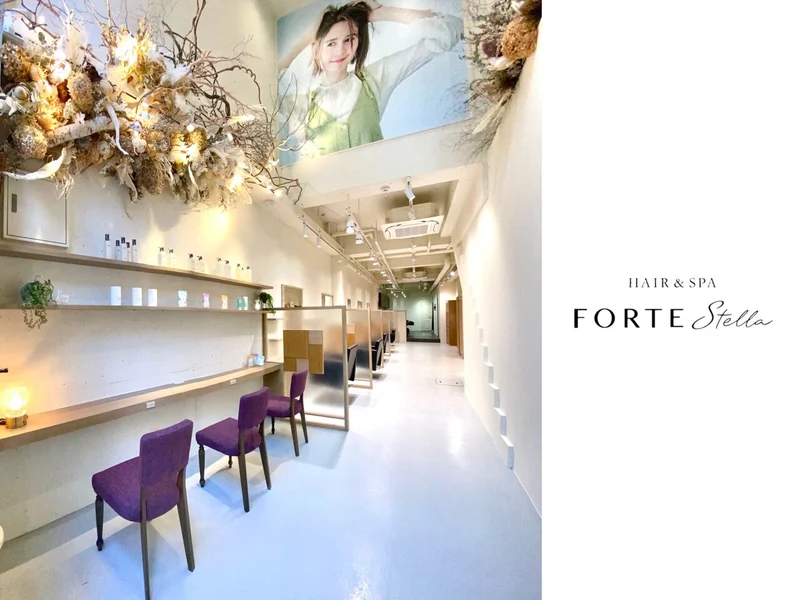 FORTE stella【フォルテステラ】店内