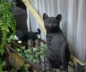 Total Beauty 黒猫の館【トータルビューティー　クロネコノヤカタ】の雰囲気画像2