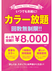 【カラー染め放題チケット４ヵ月分】約¥33000が→￥8800♪何度でも染められる