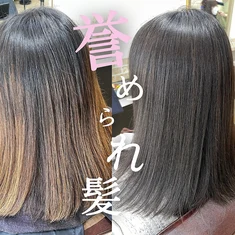 シライケイタ　の髪質改善/縮毛矯正/白髪染め/髪質改善カラー