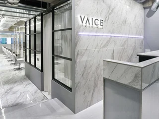 VAICE 新宿店 ケアブリーチ＆髪質改善トリートメント【ヴァイス】の雰囲気画像3